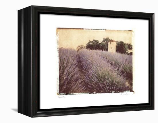 Lavender-Amy Melious-Framed Stretched Canvas