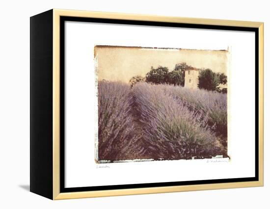 Lavender-Amy Melious-Framed Stretched Canvas