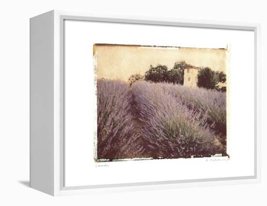 Lavender-Amy Melious-Framed Stretched Canvas