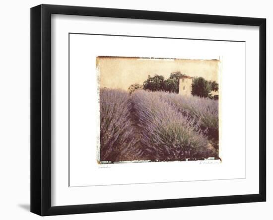 Lavender-Amy Melious-Framed Art Print