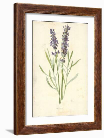 Lavender-Frederick Edward Hulme-Framed Giclee Print