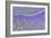 Lavender-Cora Niele-Framed Giclee Print