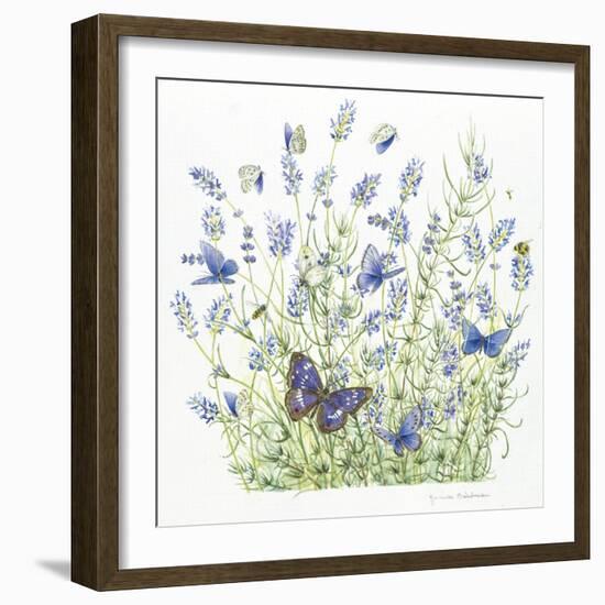 Lavender-Janneke Brinkman-Salentijn-Framed Giclee Print