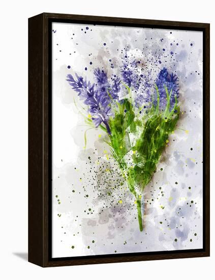 Lavender-Chamira Young-Framed Stretched Canvas