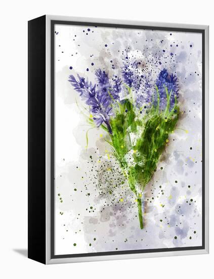 Lavender-Chamira Young-Framed Stretched Canvas