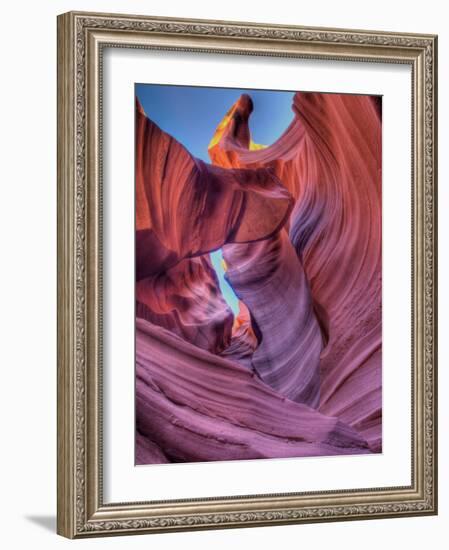 Laveo-Jim Crotty-Framed Photographic Print