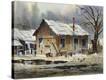 Stretched Canvas Print