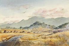 Jacksonville Road-LaVere Hutchings-Giclee Print
