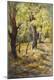 Giclee Print