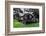 Lawnmower-NagyDodo-Framed Photographic Print