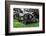 Lawnmower-NagyDodo-Framed Photographic Print