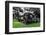 Lawnmower-NagyDodo-Framed Photographic Print