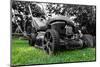 Lawnmower-NagyDodo-Mounted Photographic Print