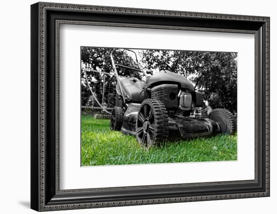 Lawnmower-NagyDodo-Framed Photographic Print