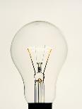 Electric Light Bulb-Lawrence Lawry-Photographic Print
