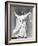 Lawrence of Arabia, Peter O'Toole, 1962, Victory Stance-null-Framed Photo