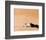 Lawrence of Arabia-null-Framed Photo