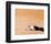 Lawrence of Arabia-null-Framed Photo