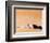 Lawrence of Arabia-null-Framed Photo