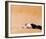 Lawrence of Arabia-null-Framed Photo