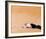 Lawrence of Arabia-null-Framed Photo