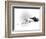 Lawrence of Arabia-null-Framed Photo