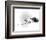 Lawrence of Arabia-null-Framed Photo