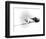 Lawrence of Arabia-null-Framed Photo