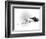 Lawrence of Arabia-null-Framed Photo