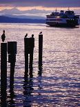 Wa State Ferry Coming in to Dock, Seattle, Washington, USA-Lawrence Worcester-Photographic Print