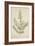 Lawsonia Spinosa, 1880-1900-null-Framed Giclee Print
