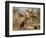 Lawyer Going to Court, 1859-60-Thomas Couture-Framed Giclee Print