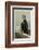 Lawyer, Rufus Isaacs-Leslie Ward-Framed Photographic Print