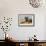 Lay down at the desk tortoiseshell cat, 2017-Hiroyuki Izutsu-Framed Giclee Print displayed on a wall