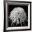 Laydy Chrysantha Punk, 2009-Hiroyuki Arakawa-Framed Photographic Print