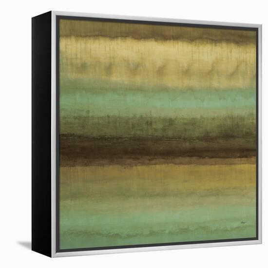 Layered Details I-Randy Hibberd-Framed Stretched Canvas