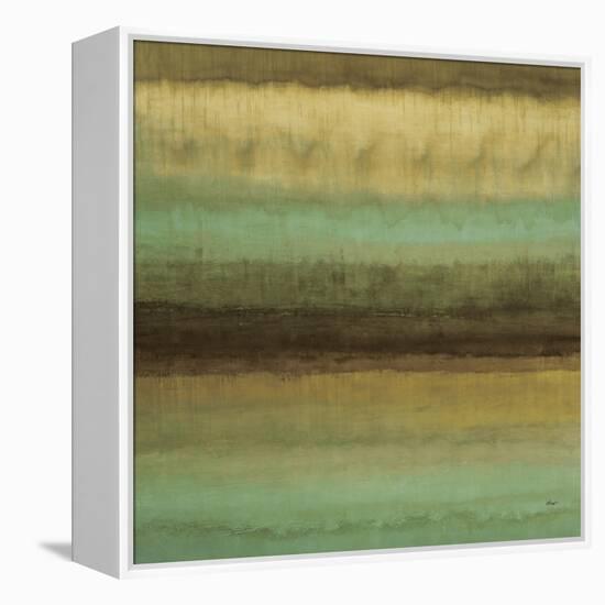 Layered Details I-Randy Hibberd-Framed Stretched Canvas
