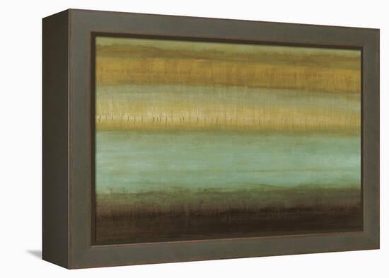 Layered Details II-Randy Hibberd-Framed Stretched Canvas