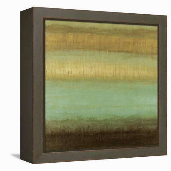 Layered Details II-Randy Hibberd-Framed Stretched Canvas