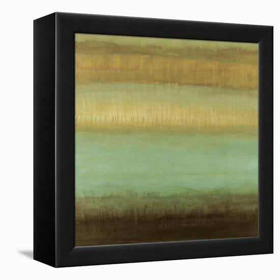 Layered Details II-Randy Hibberd-Framed Stretched Canvas