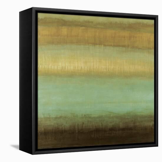 Layered Details II-Randy Hibberd-Framed Stretched Canvas