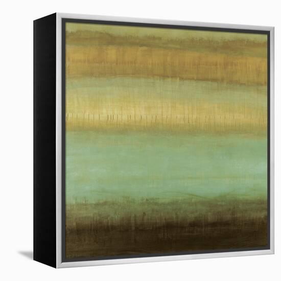 Layered Details II-Randy Hibberd-Framed Stretched Canvas