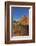 Layered Sandstone and Flowers, Vermillion Cliffs Wilderness, Arizona-Chuck Haney-Framed Photographic Print