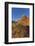 Layered Sandstone and Flowers, Vermillion Cliffs Wilderness, Arizona-Chuck Haney-Framed Photographic Print