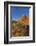 Layered Sandstone and Flowers, Vermillion Cliffs Wilderness, Arizona-Chuck Haney-Framed Photographic Print