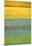 Layered Yellow and Green Abstract-Marie C^ Wattin-Mounted Art Print
