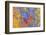 Layers of chipped paint and scratches-Art Wolfe-Framed Photographic Print