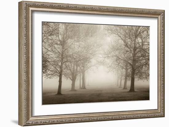 Layers of Trees II-Igor Svibilsky-Framed Art Print