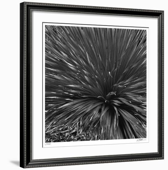 Layers of Yuca-Edward Asher-Framed Giclee Print