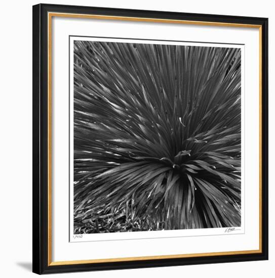 Layers of Yuca-Edward Asher-Framed Giclee Print